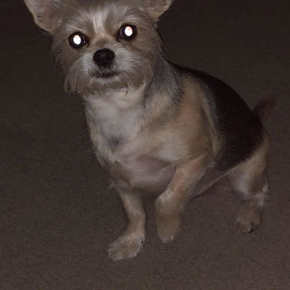 Meet your Posher, Jayson - Picture 1 of 1